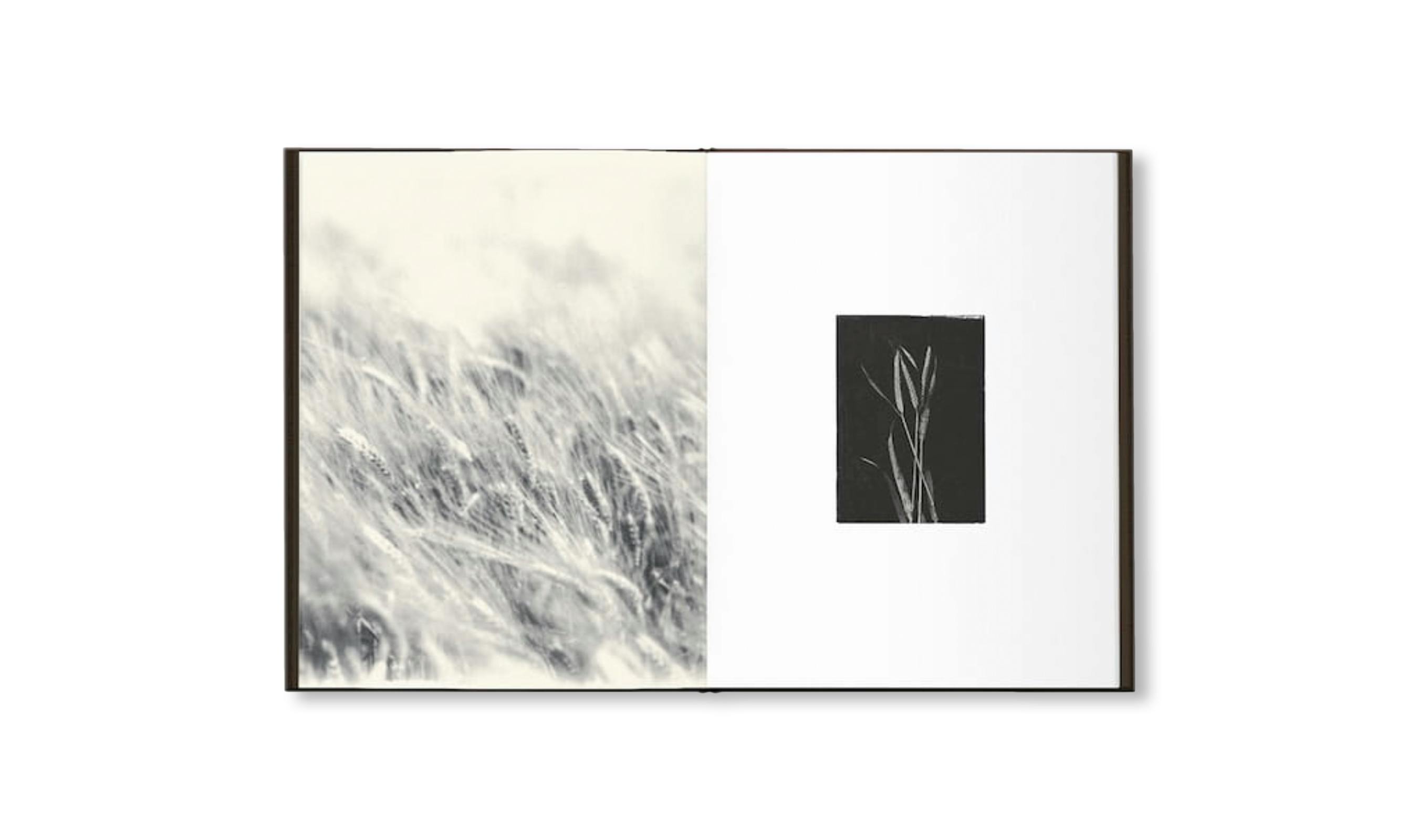 TIME IN AIR, TIME IN PAPER：森田幸子 | OIL - 現代アート・絵画の