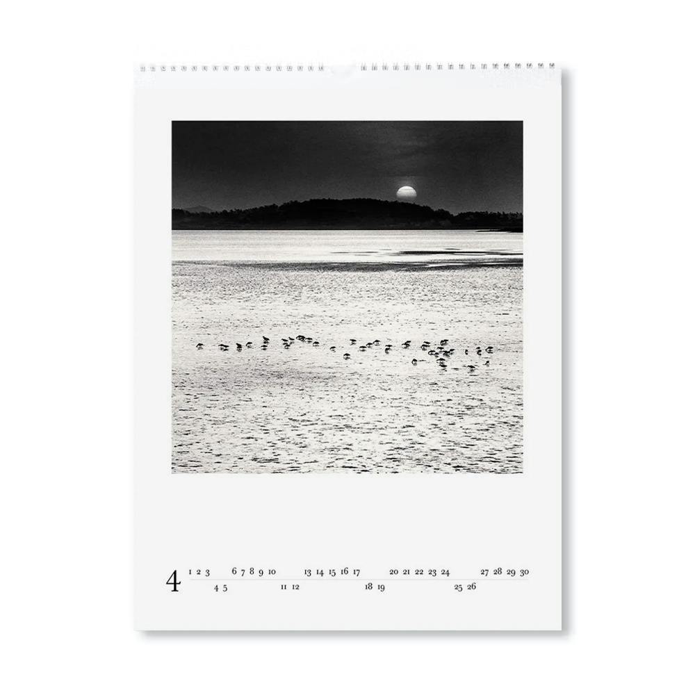 MICHAEL KENNA 2026 WALL CALENDAR：マイケル・ケンナ | OIL - 現代