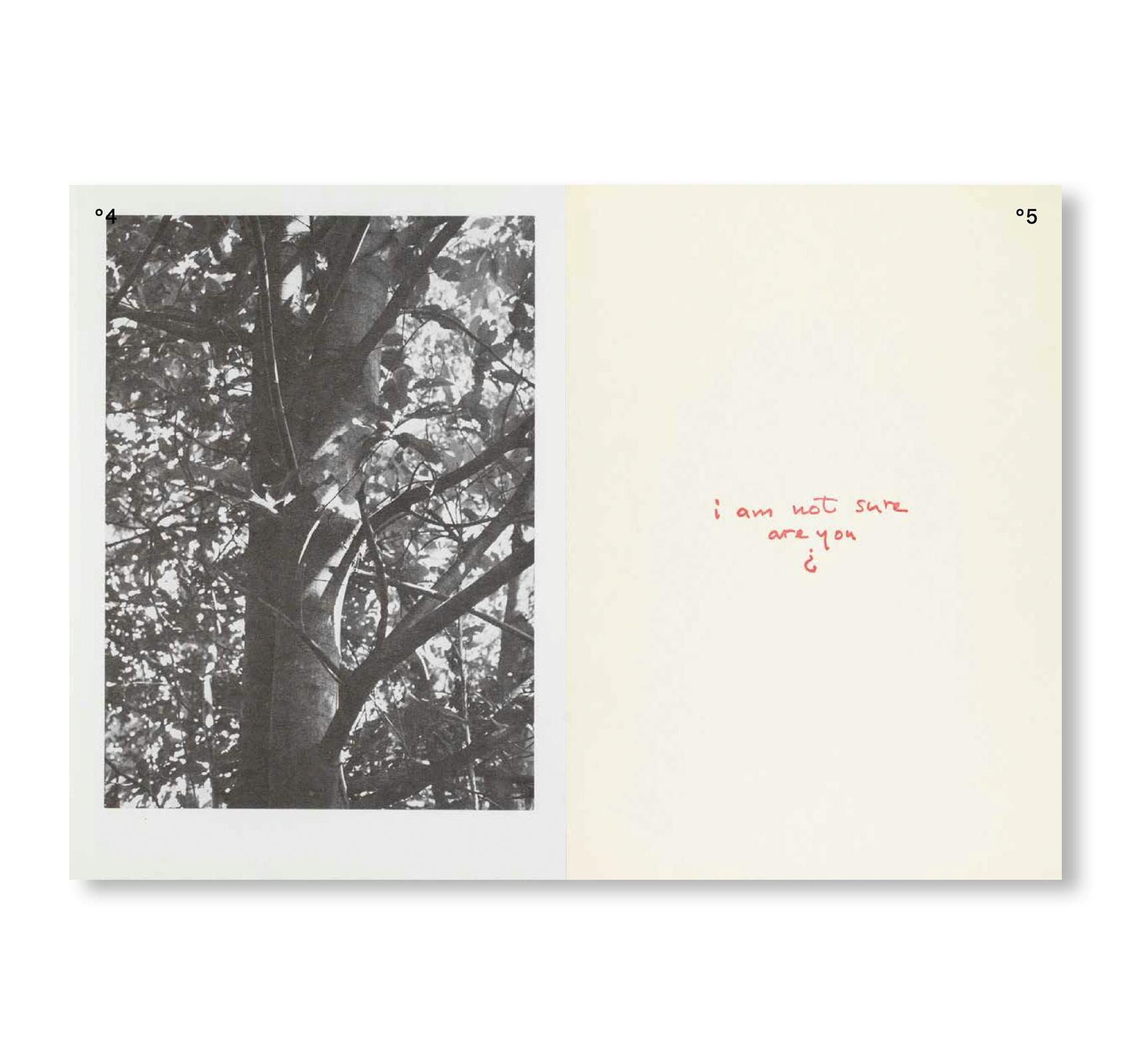 herman de vries「fragments」 ヘルマン・デ・フリース HERMAN DE