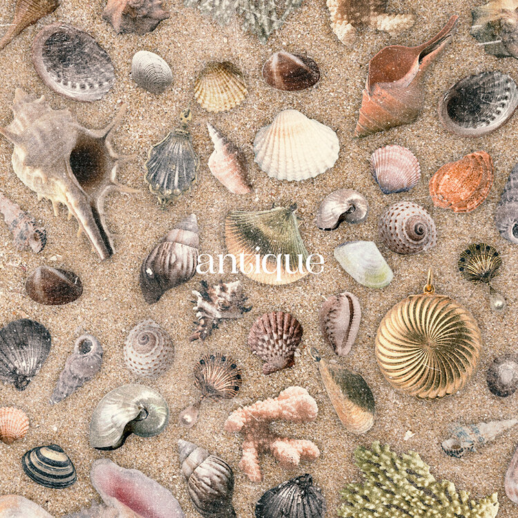 antique | DISCO | おいしくるメロンパン オフィシャルサイト