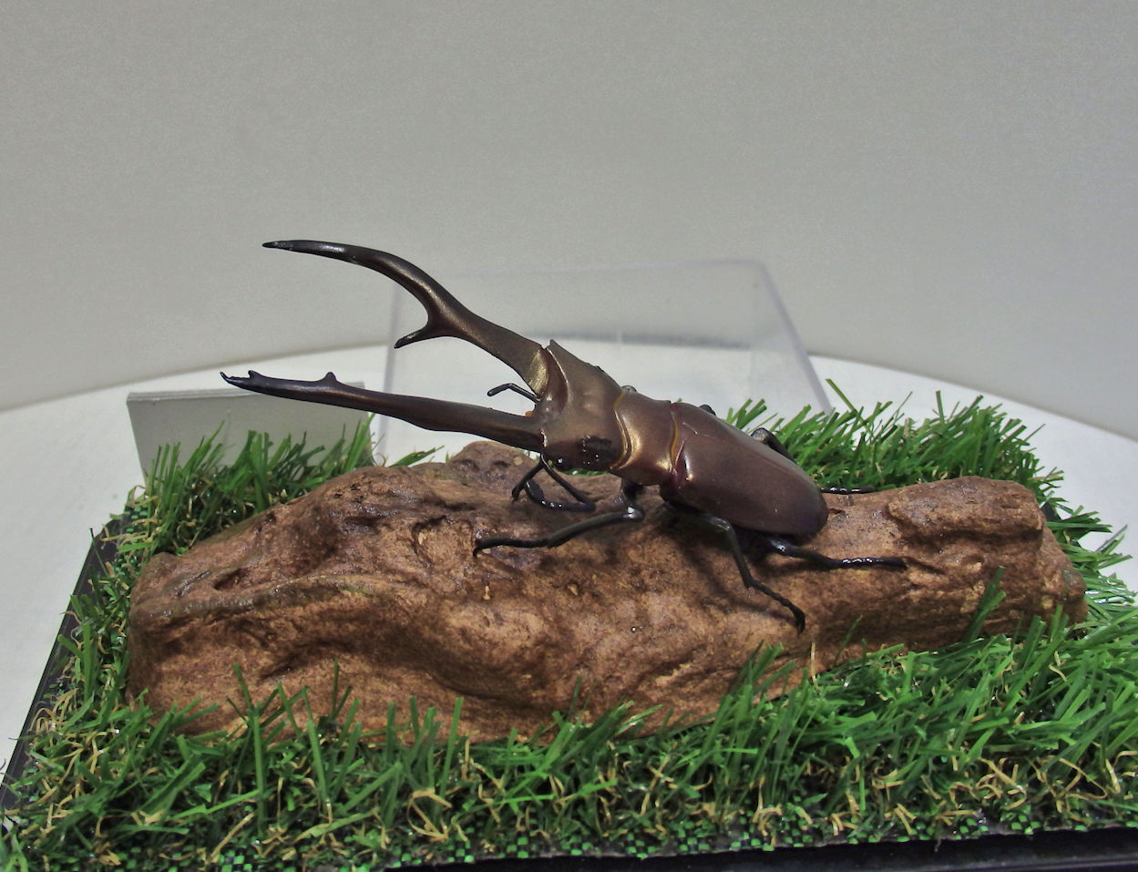 インペラトールホソアカクワガタ♂82mmレプリカ標本 | オオクワ京都昆虫館