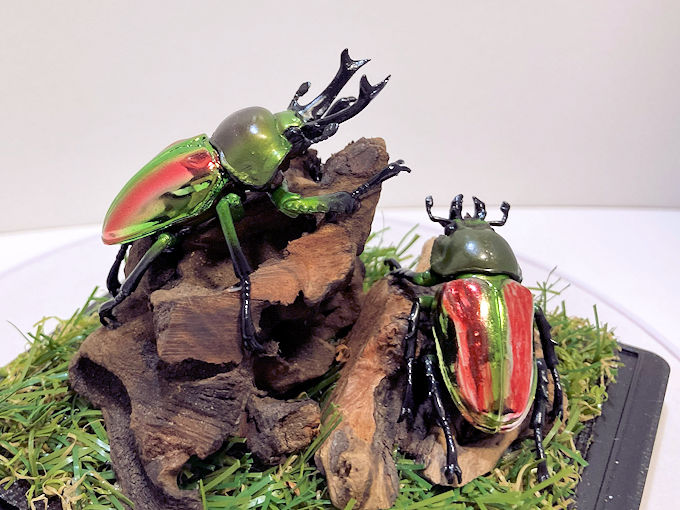 マルスゾウカブト♂118（レプリカ標本） | オオクワ京都昆虫館