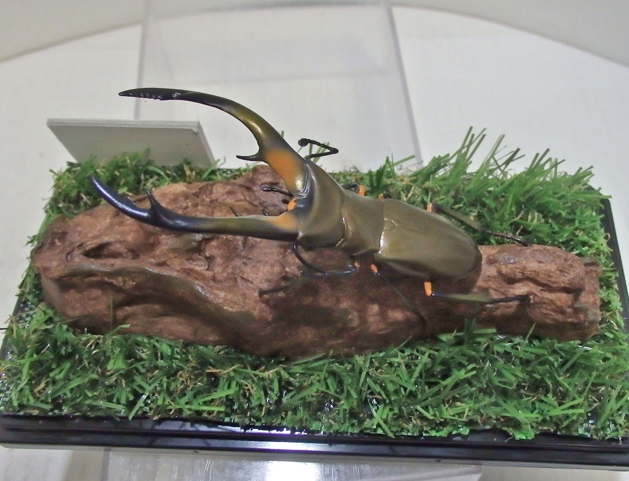 エラフスホソアカクワガタ♂83mmレプリカ標本 | オオクワ京都昆虫館