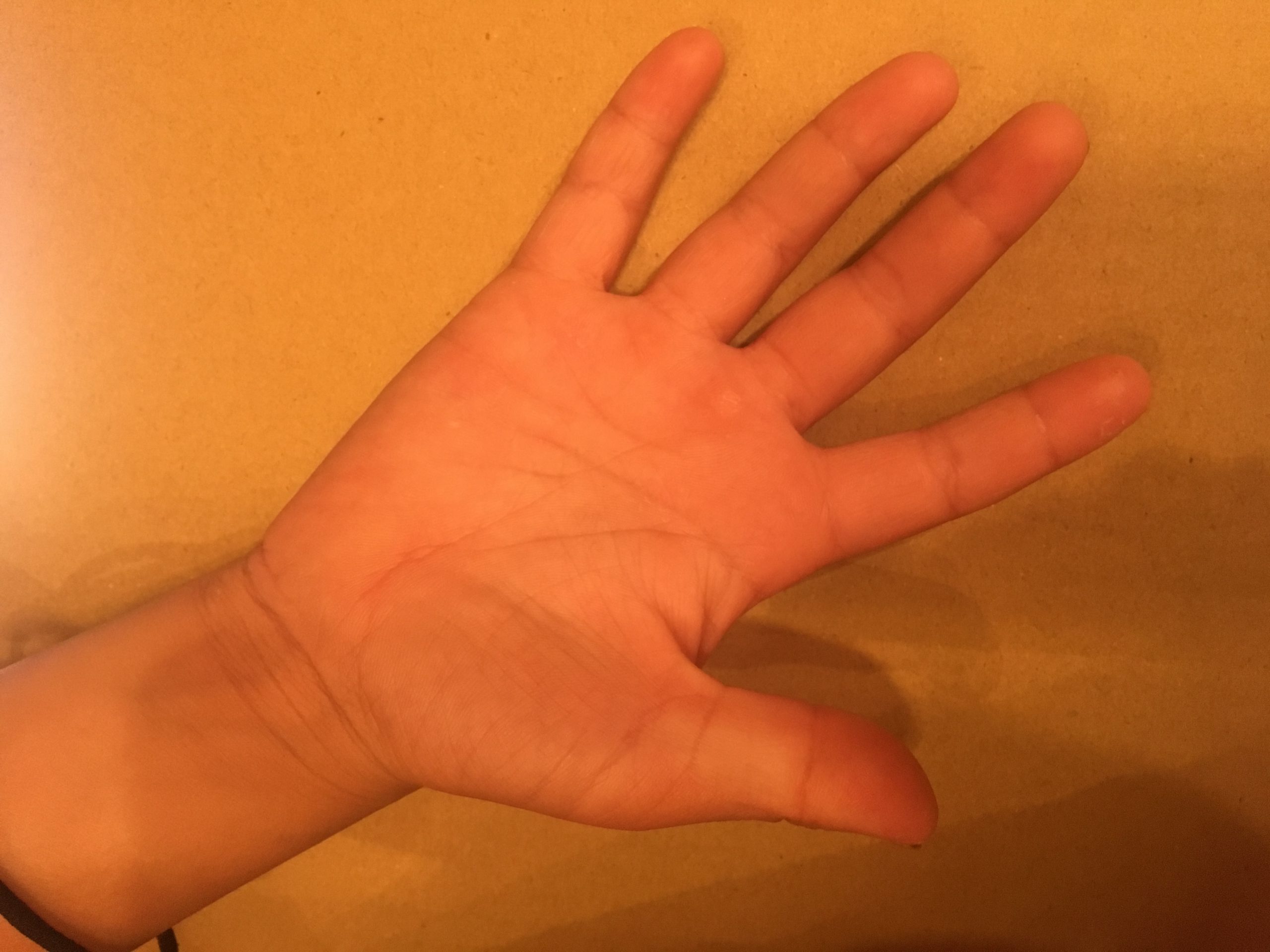 自分の手相を観察してみると - 大きなきりかぶ