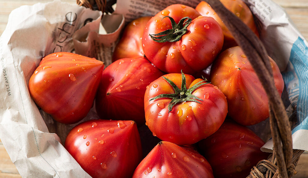 大島トマト農園 | トップページ