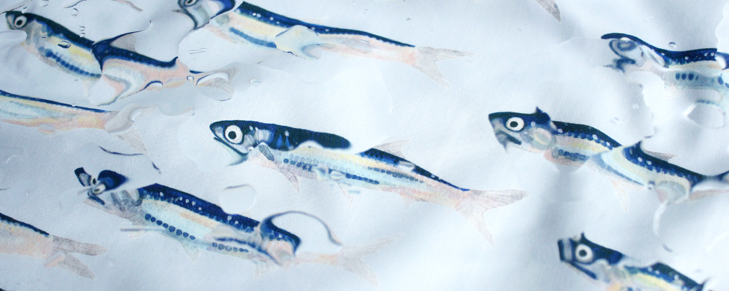 水の生きものたち - OLD-FASHIONED STORE