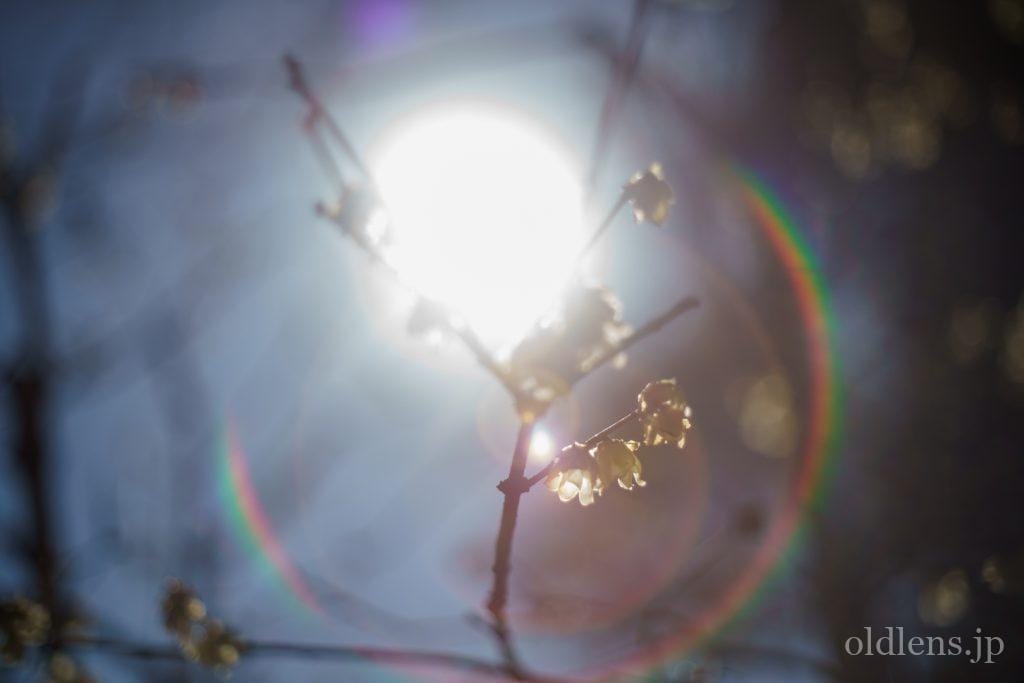 Yashica Auto Yashinon-DX 50mm F1.4 M42 Review作例 富岡光学製