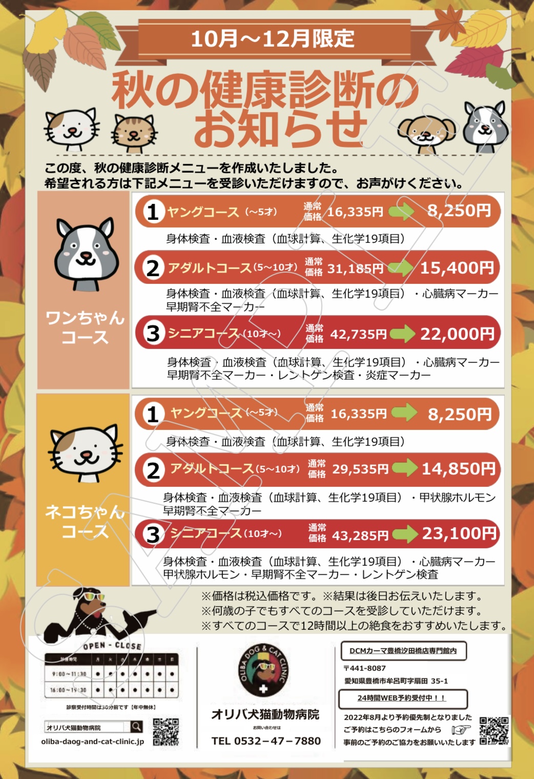 健康診断のヤング・アダルト・シニアコースは何が違う？ | オリバ犬猫病院