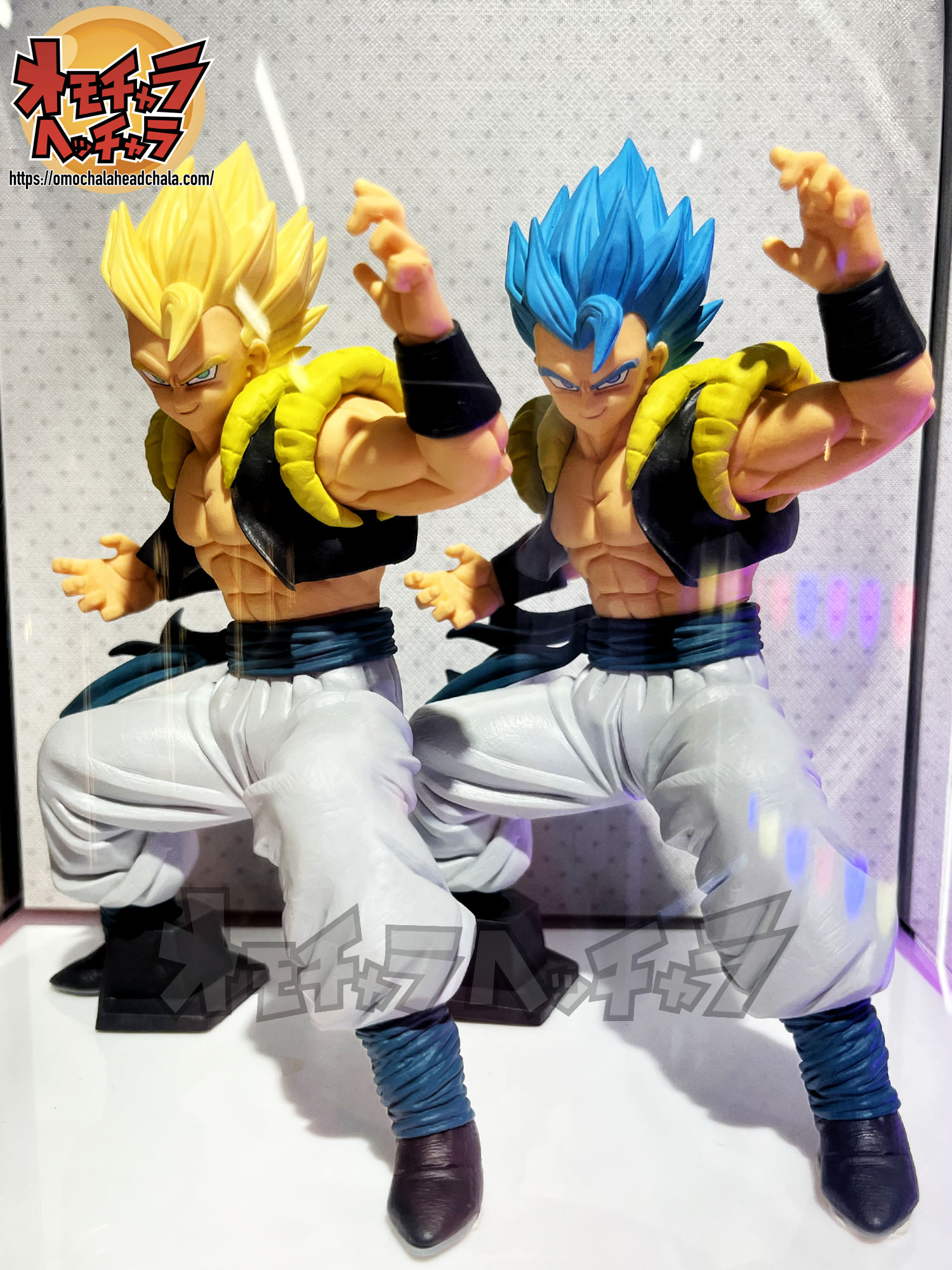 ゴジータ(SSGSS/超サイヤ人)展示品レビュー/レポート】ドラゴンボールZ