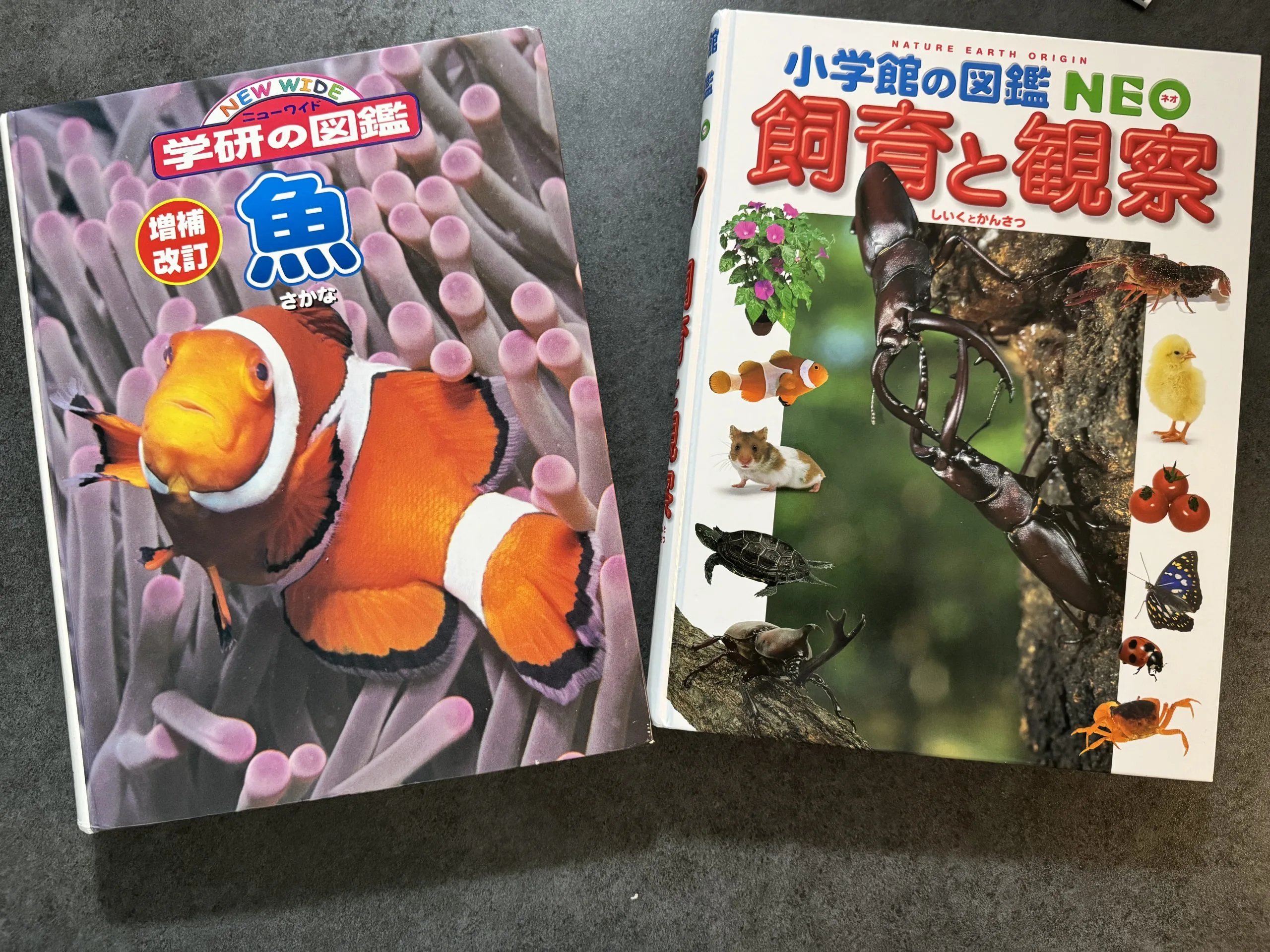 図鑑3社徹底比較】学研LIVE・小学館NEO・講談社MOVEどれがおすすめ