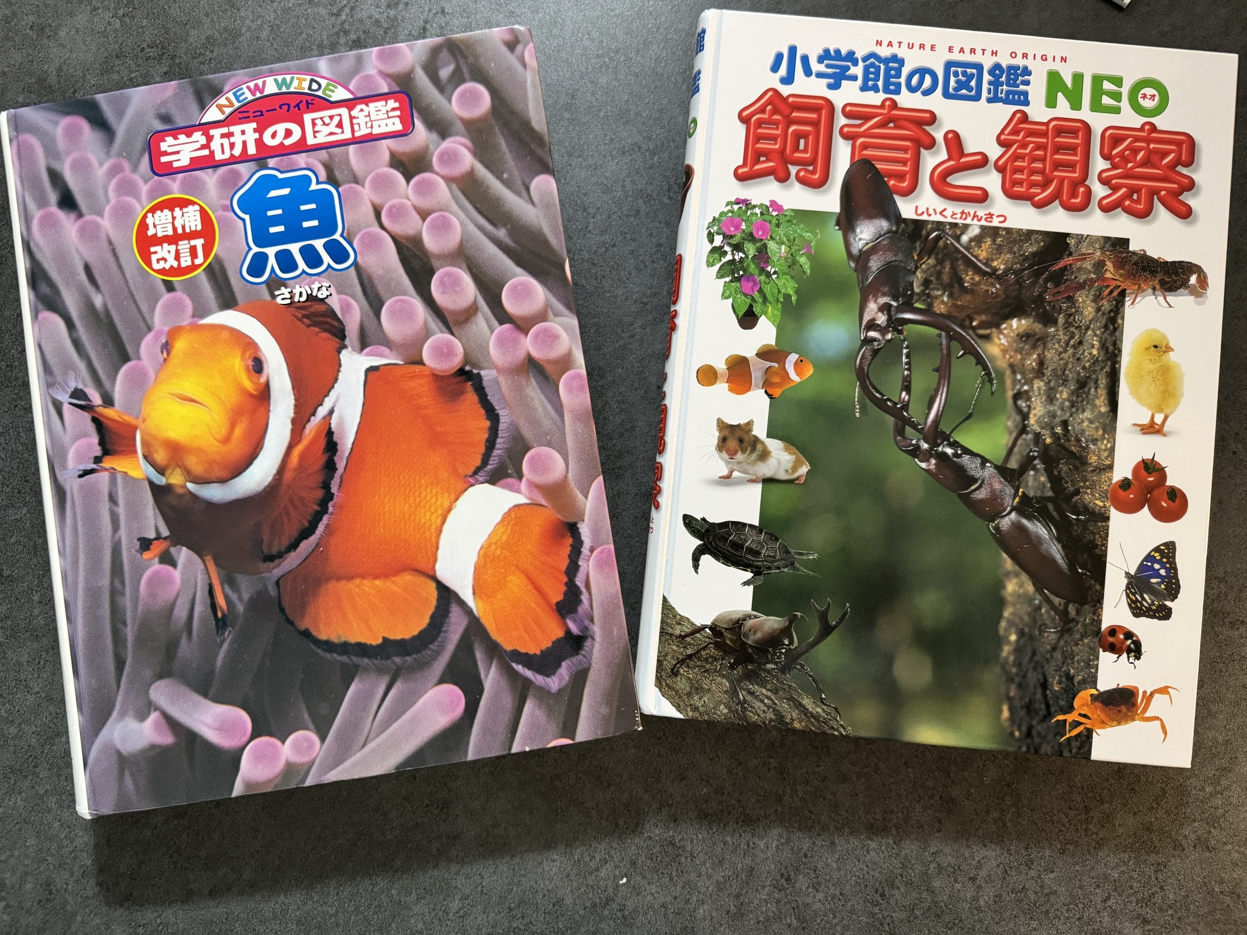 図鑑3社徹底比較】学研LIVE・小学館NEO・講談社MOVEどれがおすすめ