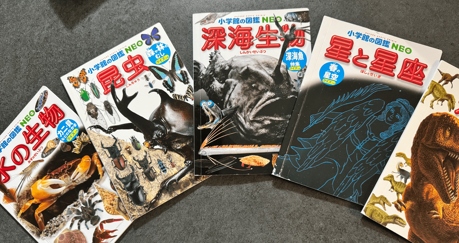 小学館図鑑NEO 講談社の動く図鑑MOVE 学研の図鑑LIVE 28冊セット