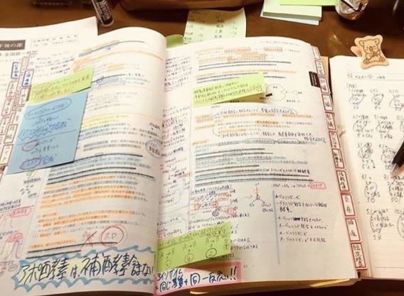 永久保存版】管理栄養士国家試験 現役・既卒合格者のノート術｜管ゼミ