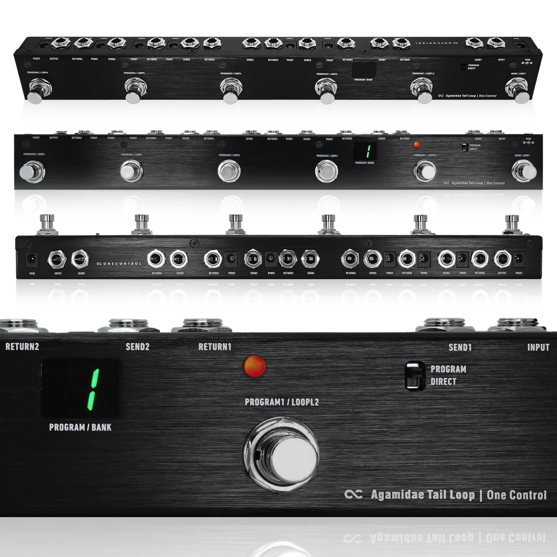 Agamidae Tail Loop (OC-6V) – One Control USA