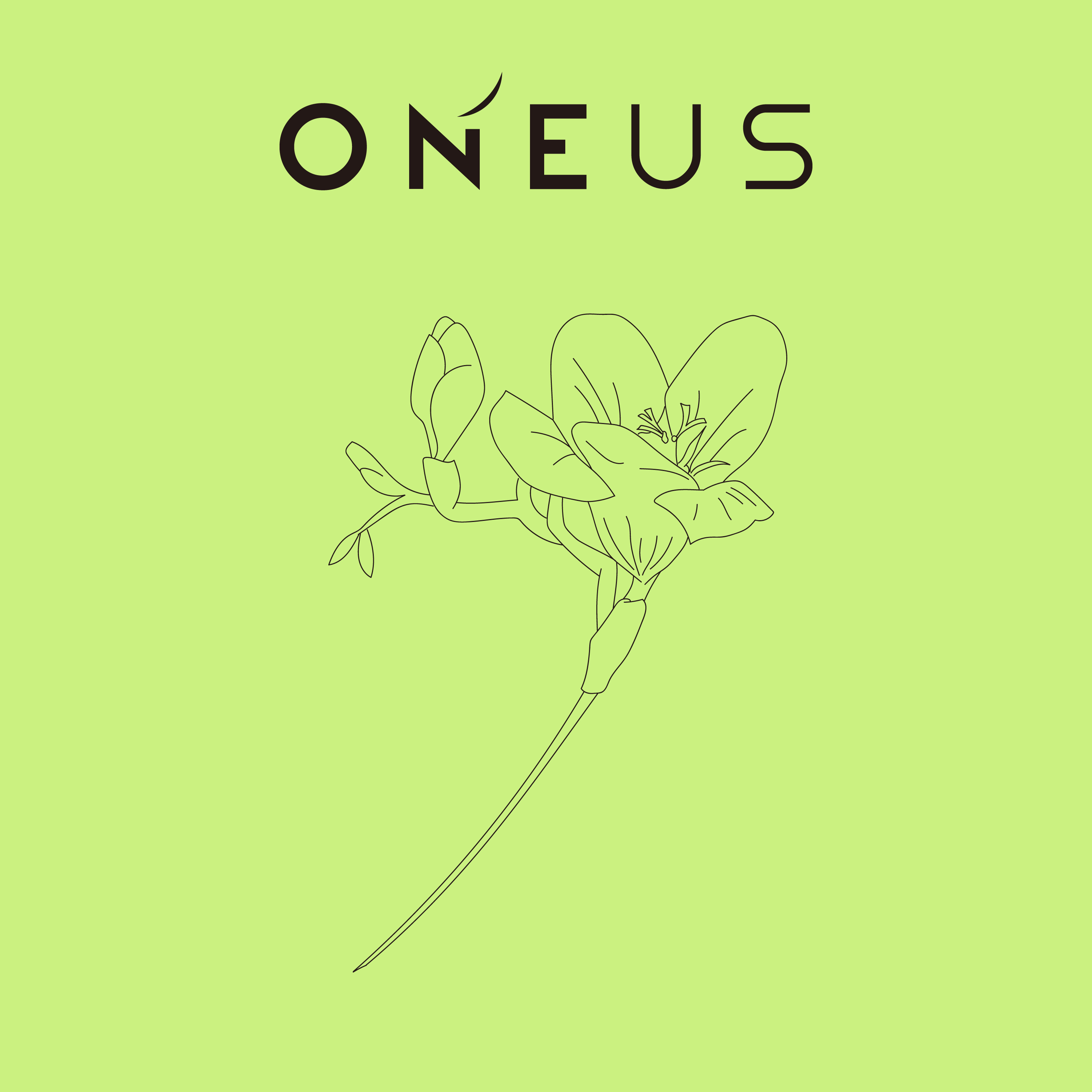 DISCOGRAPHY | ONEUS JAPAN OFFICIAL SITE