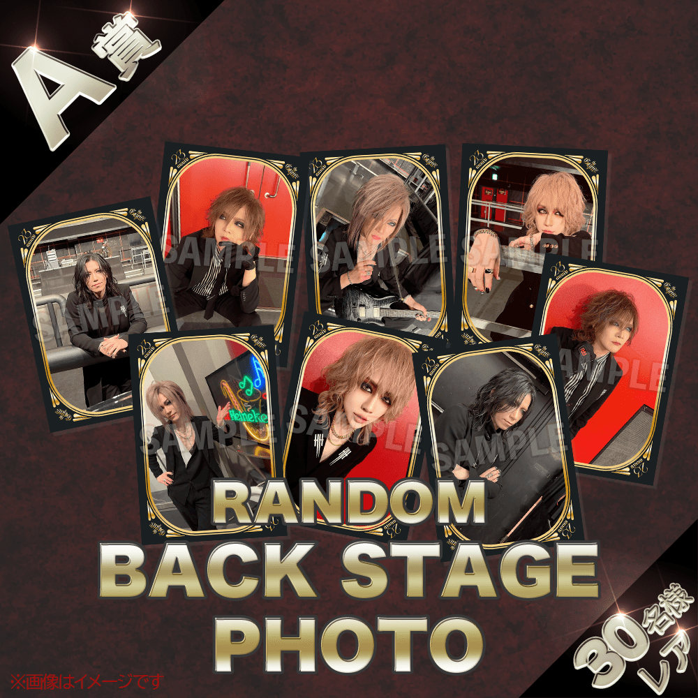 くじプラ | the GazettE くじプラ 2025 Spring