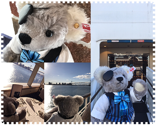 劇場版 黒執事 Book of the Atlantic × シュタイフ 「シエル