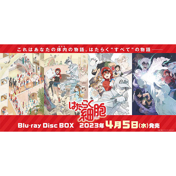はたらく細胞 Blu-ray Disc BOX