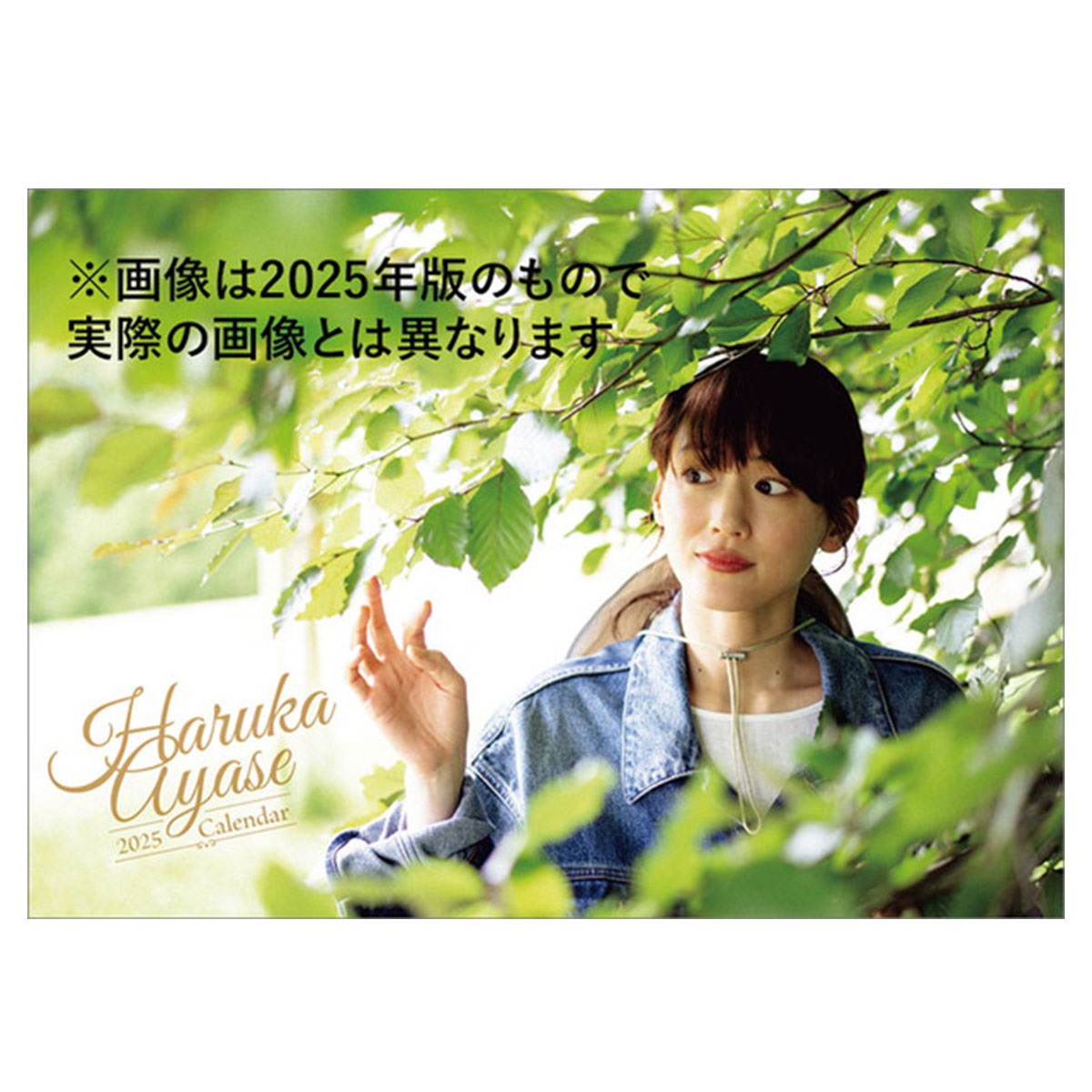 綾瀬はるか DVD、カレンダー、写真集など9品 綾瀬はるか DVD