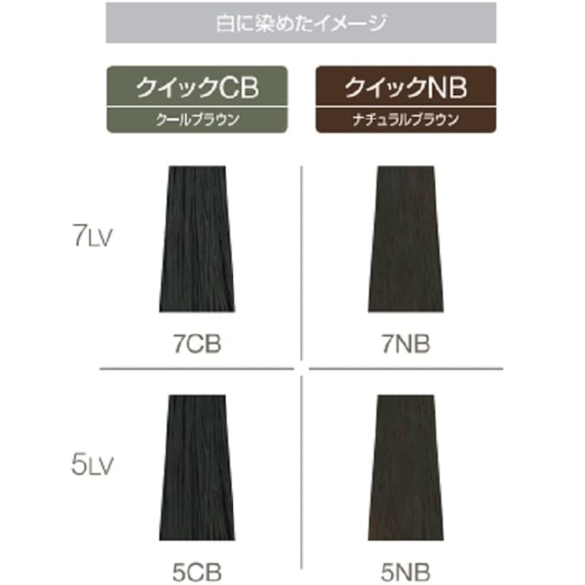 フィヨーレBLカラー ラディーチェ クイック | カラー剤 | FIVE WEB