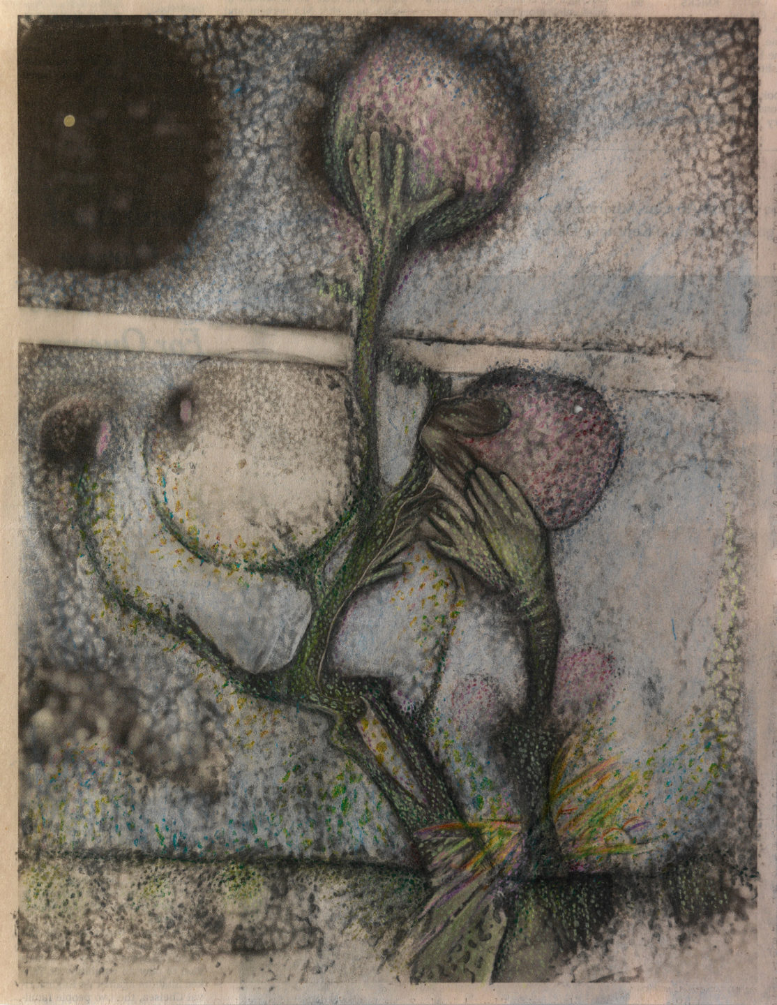 Christian Holstad, Buddings, 2021 - Christian Holstad – Venice 2021