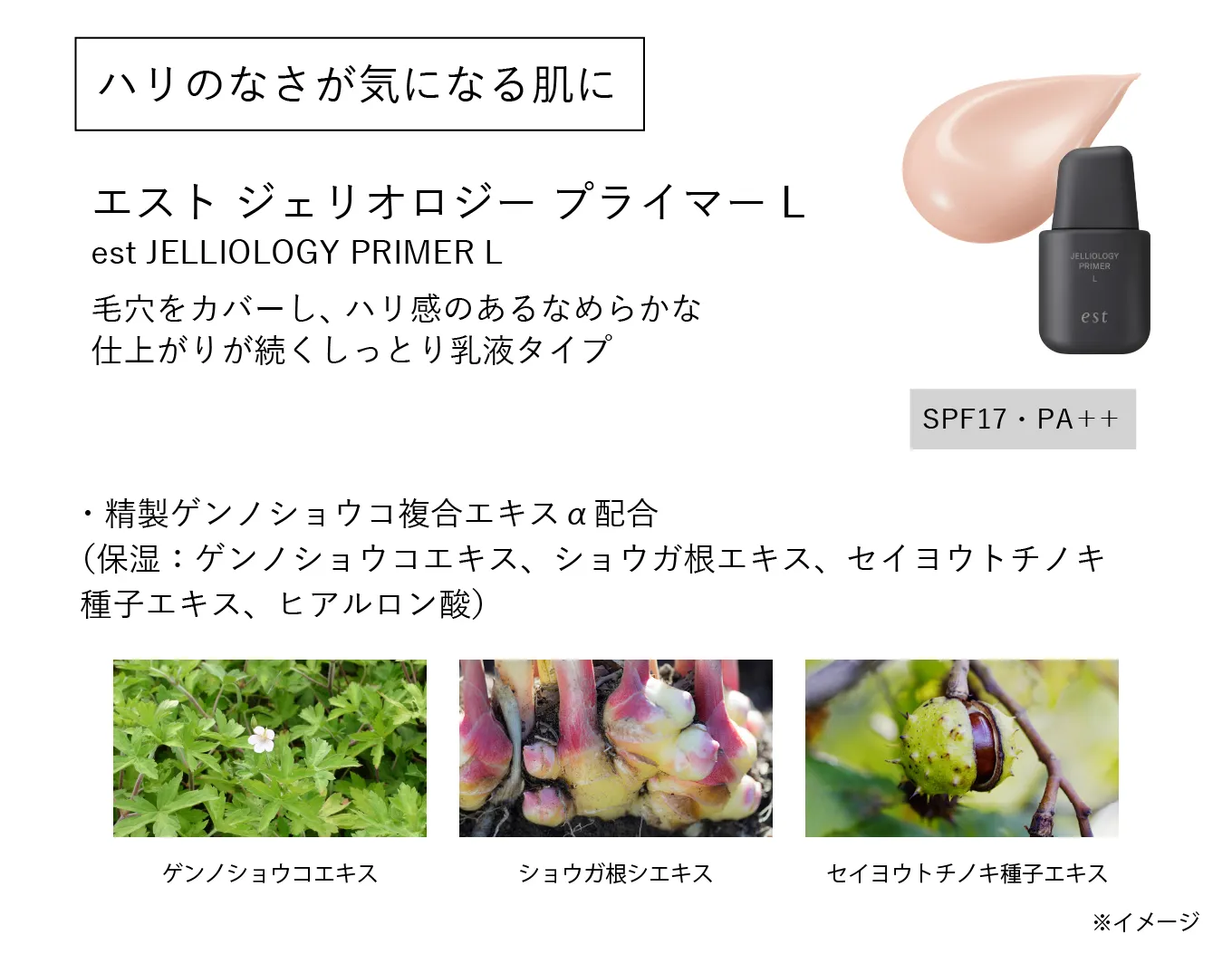 エスト ジェリオロジー プライマー L | est（エスト）公式オンライン