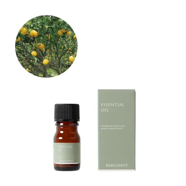 084733240_m_grande.png?v=