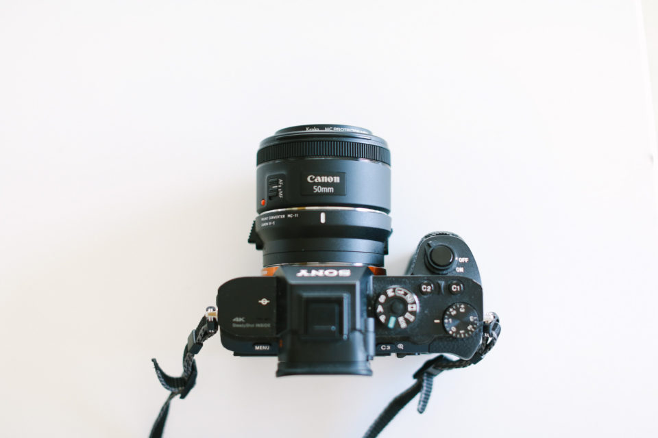 SONY α7Rⅱ＋シグマMC-11＋CANON EF50mm F.18 STMはAF早い・軽い