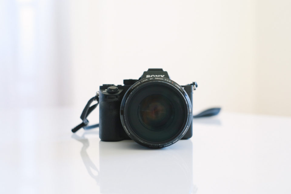 SIGMA MC-11（マウントコンバーター）を買ってSONY α7Rⅱ＋Canon EF