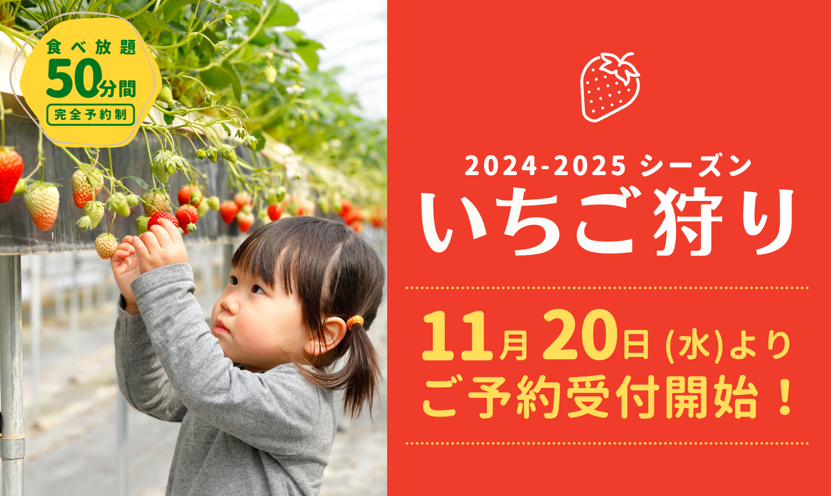 いちご狩り 予約受付開始について | おさぜん農園