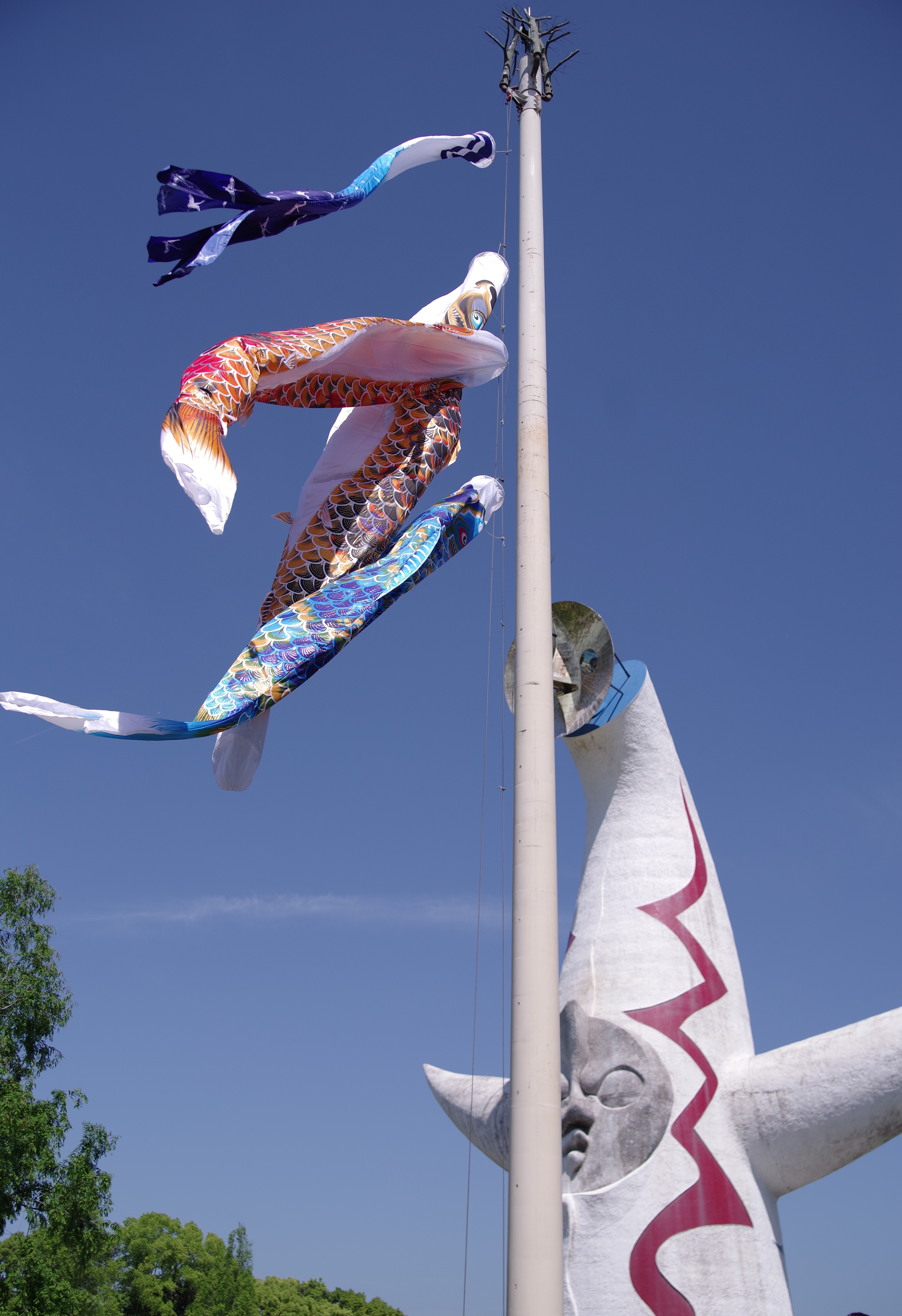 事業紹介：開催予定 詳細 | 日本万国博覧会記念基金事業