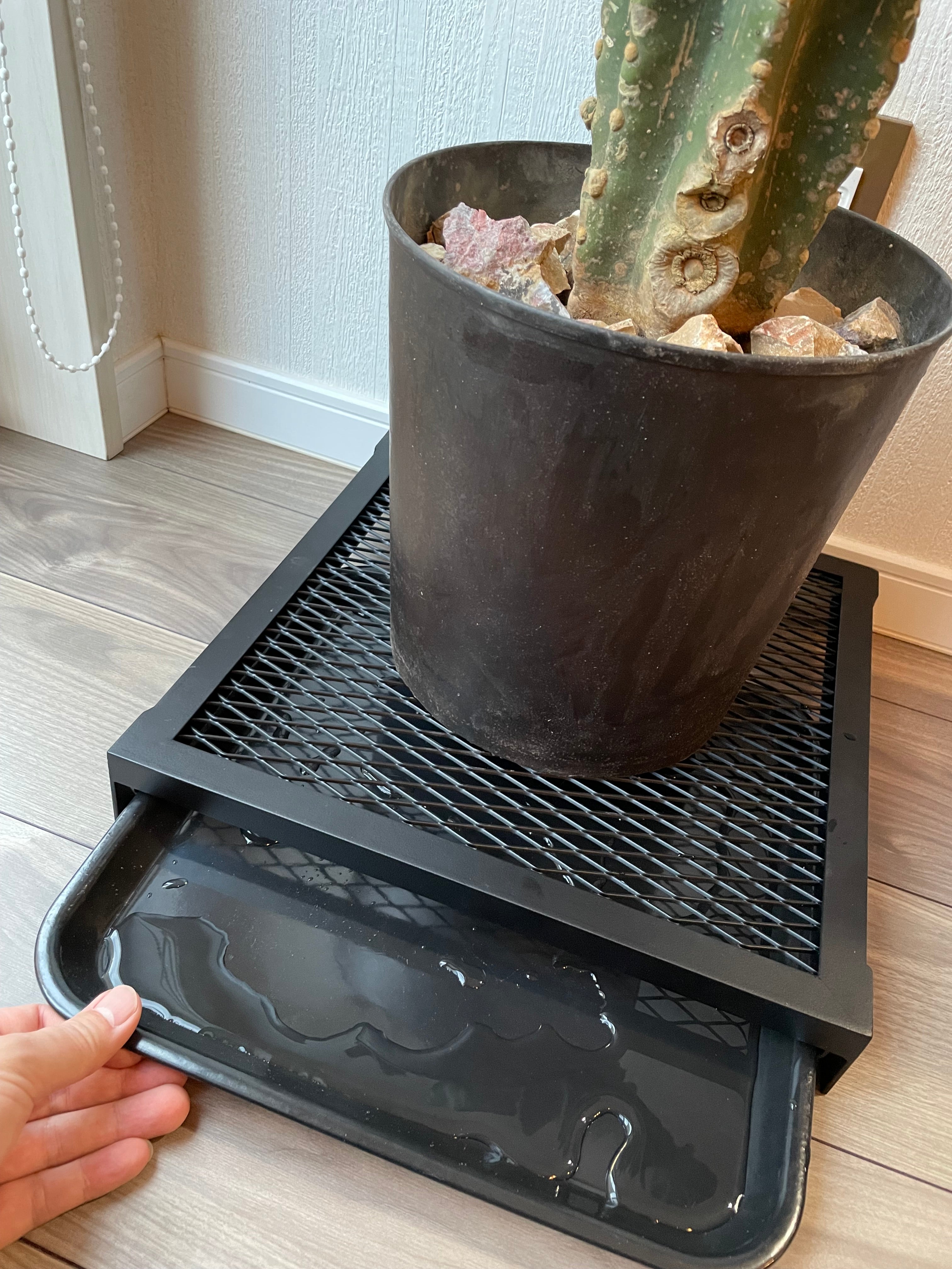 OSAKAYA 植物台座 KUROKO – OSAKAYA OFFICIAL ONLINE STORE