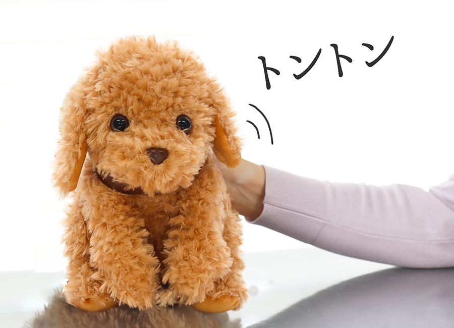 おしゃべりトイプードルのご紹介！ - おしゃべりトイプードル公式サイト