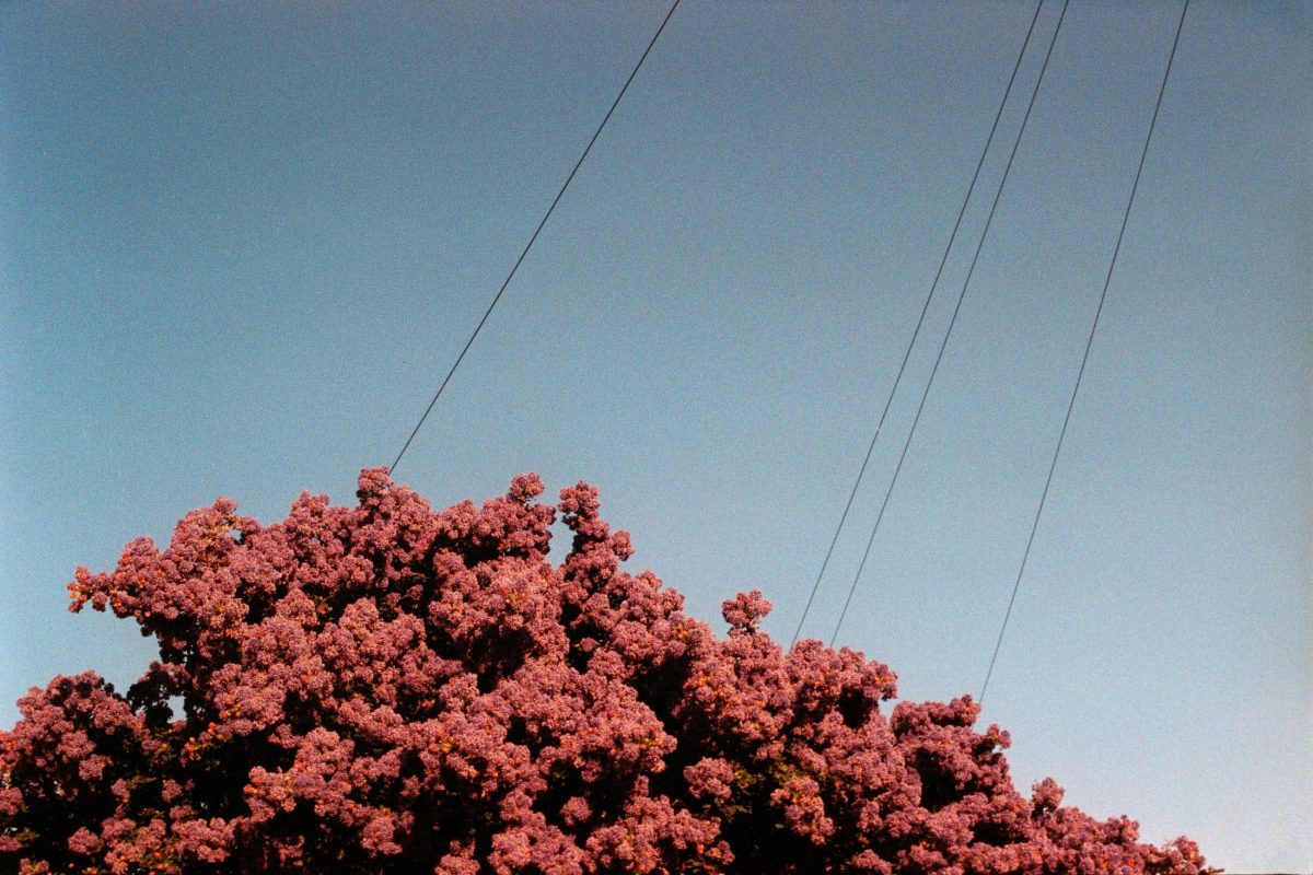 Ian Howorth: In Passing - Open Doors Gallery