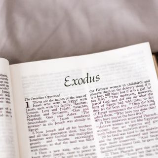 Exodus | Steve Gregg | OpenTheo