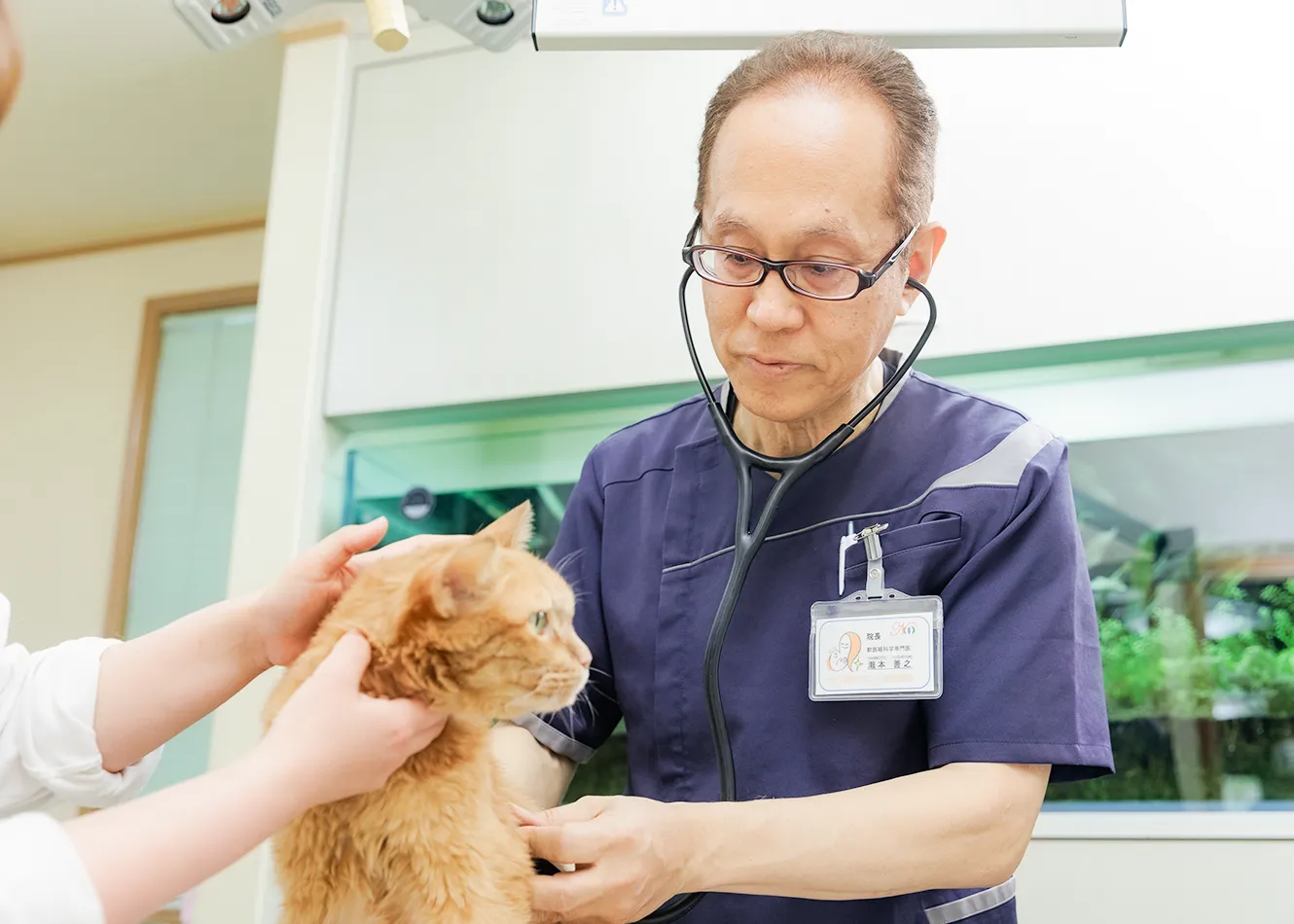 ナディア動物クリニック・動物眼科｜岡山県倉敷市玉島の動物病院