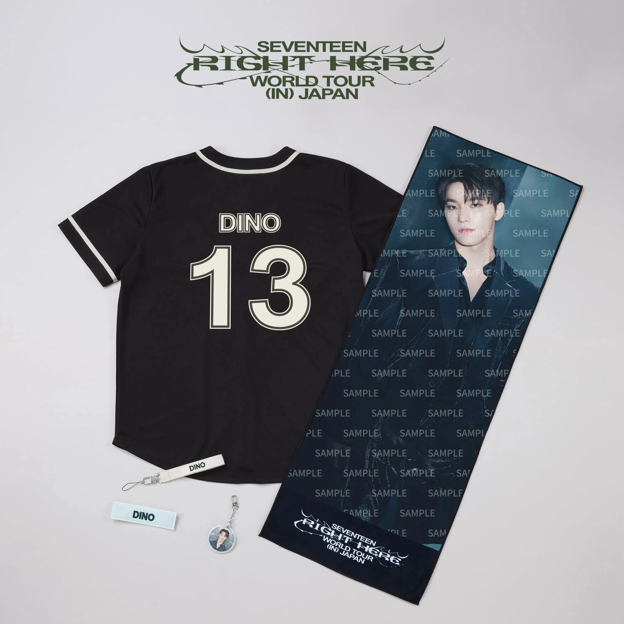 Buy SEVENTEEN [RIGHT HERE] World Tour In Japan Official MD Merch