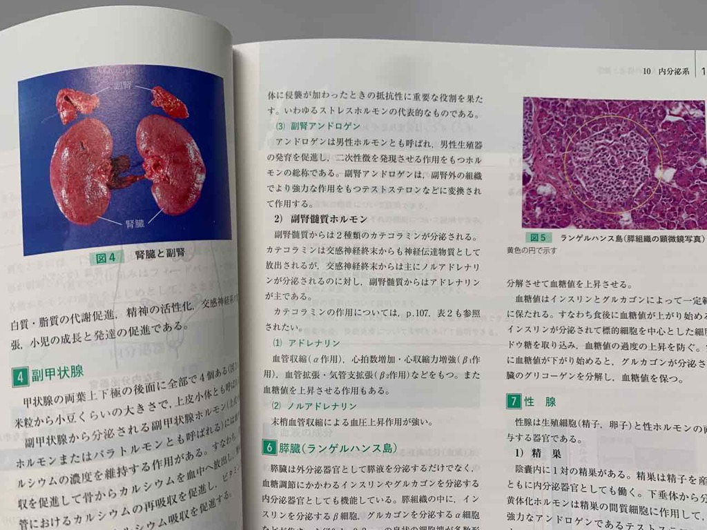 250424_救急救命士標準テキスト_改定第11版 | 興部進歩の会OPS