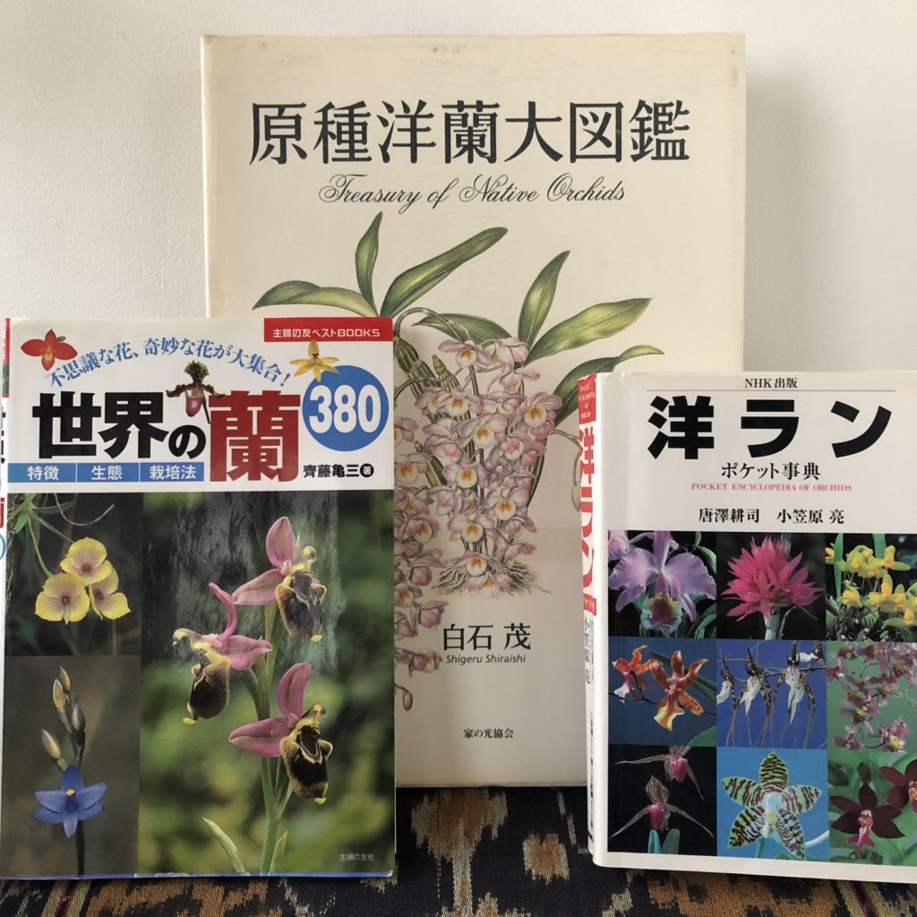 原種洋蘭大図鑑 白石茂 285属1198種収録