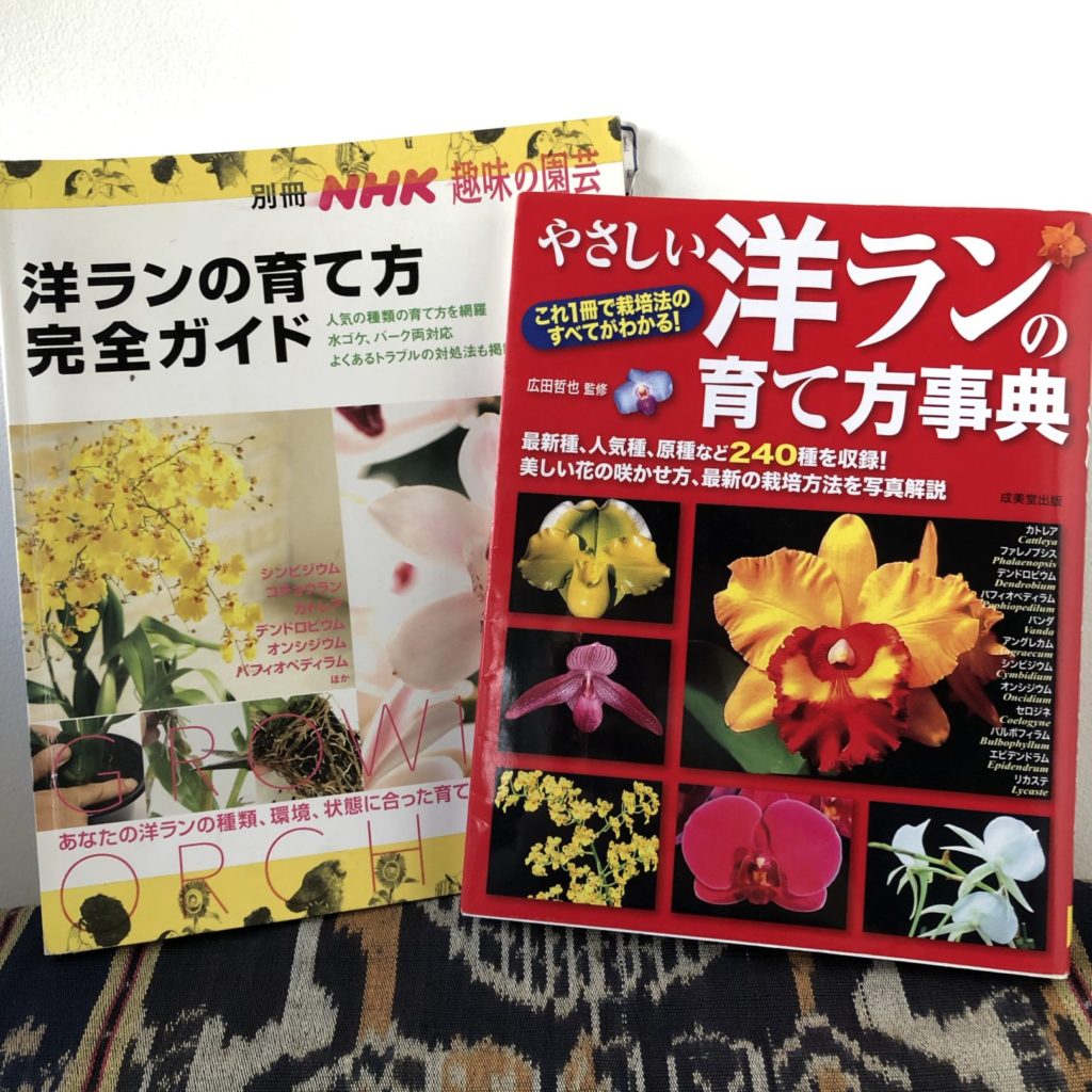 わたしの北極星 〜コロナ禍を乗り切ろう！巣ごもりをカスタムする魅惑