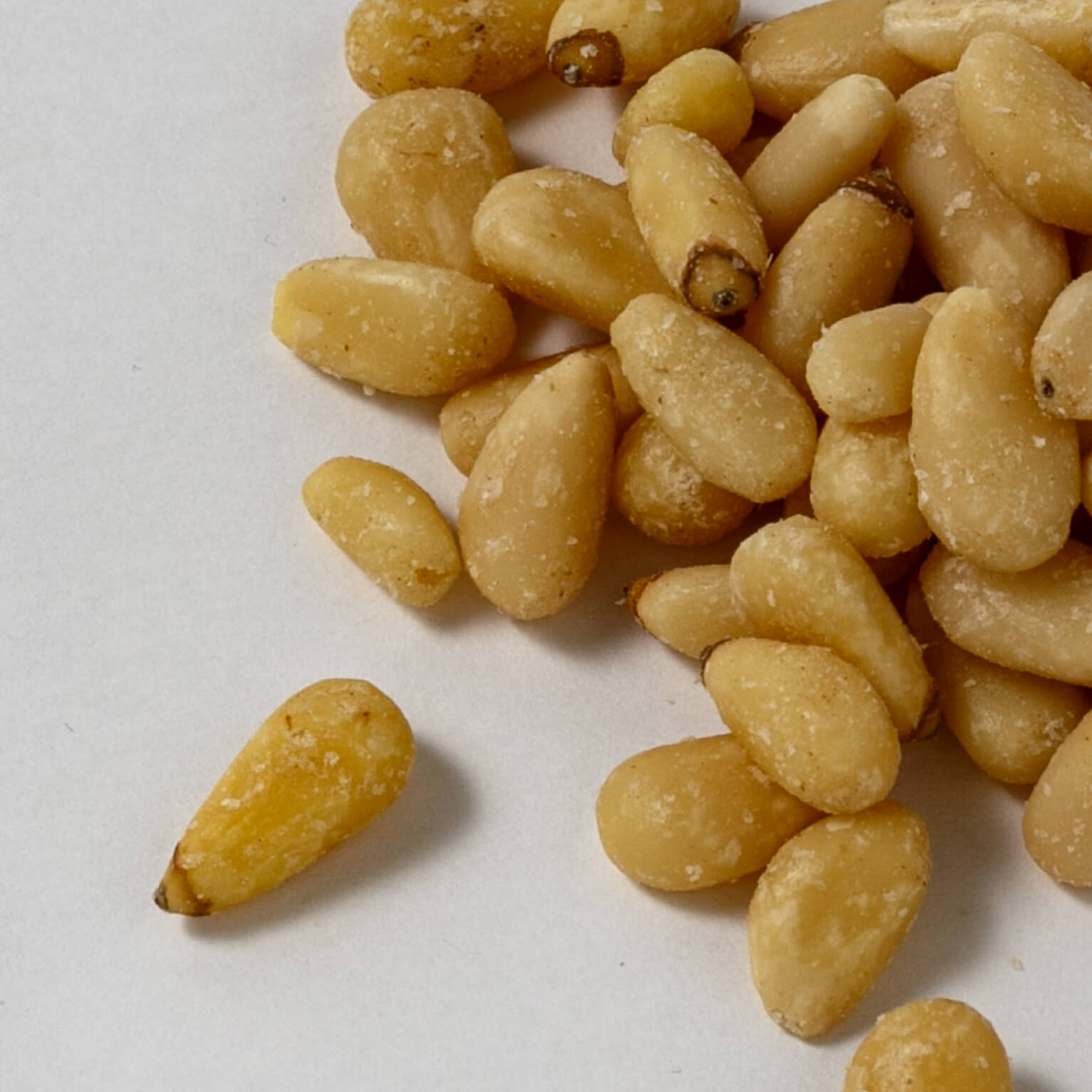 松の実 1kg : 丸菱ホールディングス | スモールビジネスのための問屋