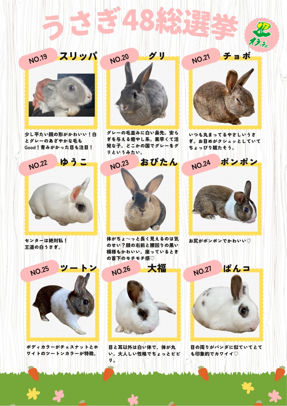 うさぎ48 エントリーうさぎ | 酪農王国オラッチェ
