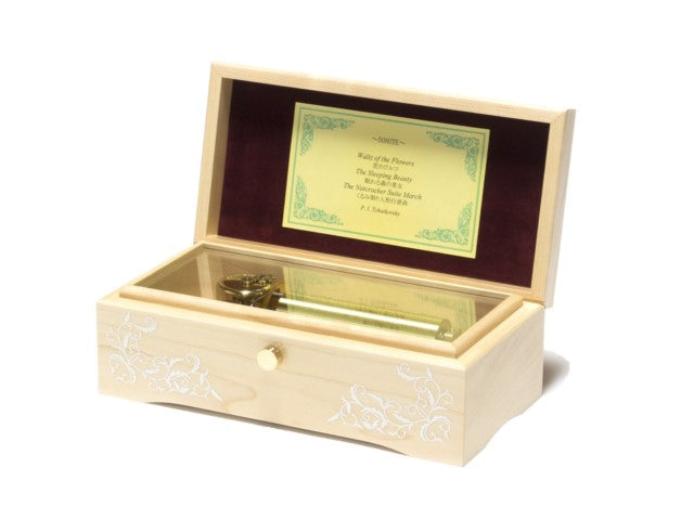 真夏の果実 桑田佳祐 サザンオールスターズ【MM521G+G30