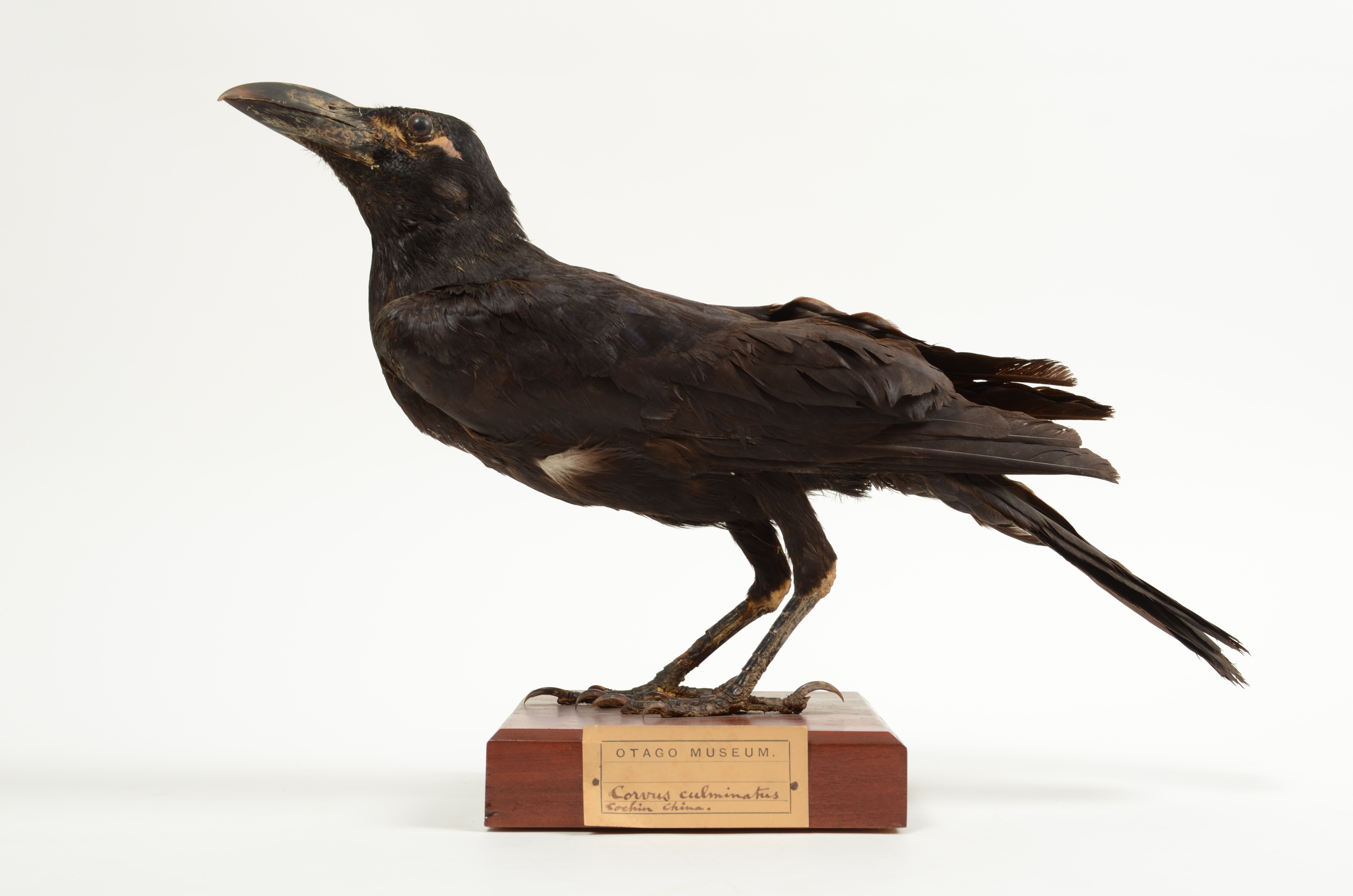 av2739_5!pub.jpg?width=1024