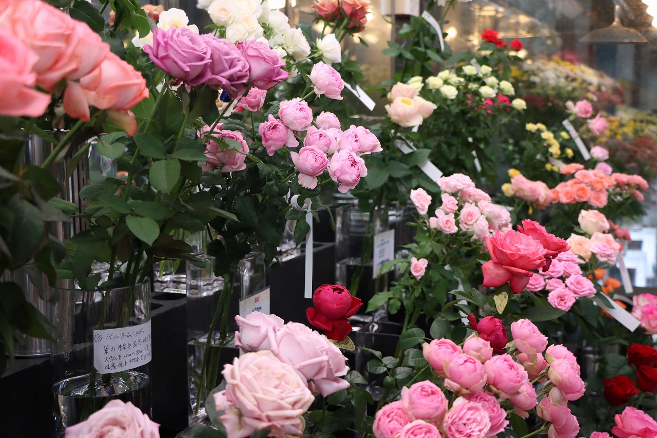 秋を彩る 最新バラCollection - 株式会社大田花き