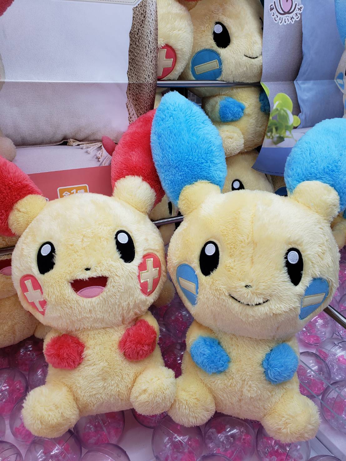 □アミューズ入荷情報です！《ポケットモンスター めちゃもふぐっと