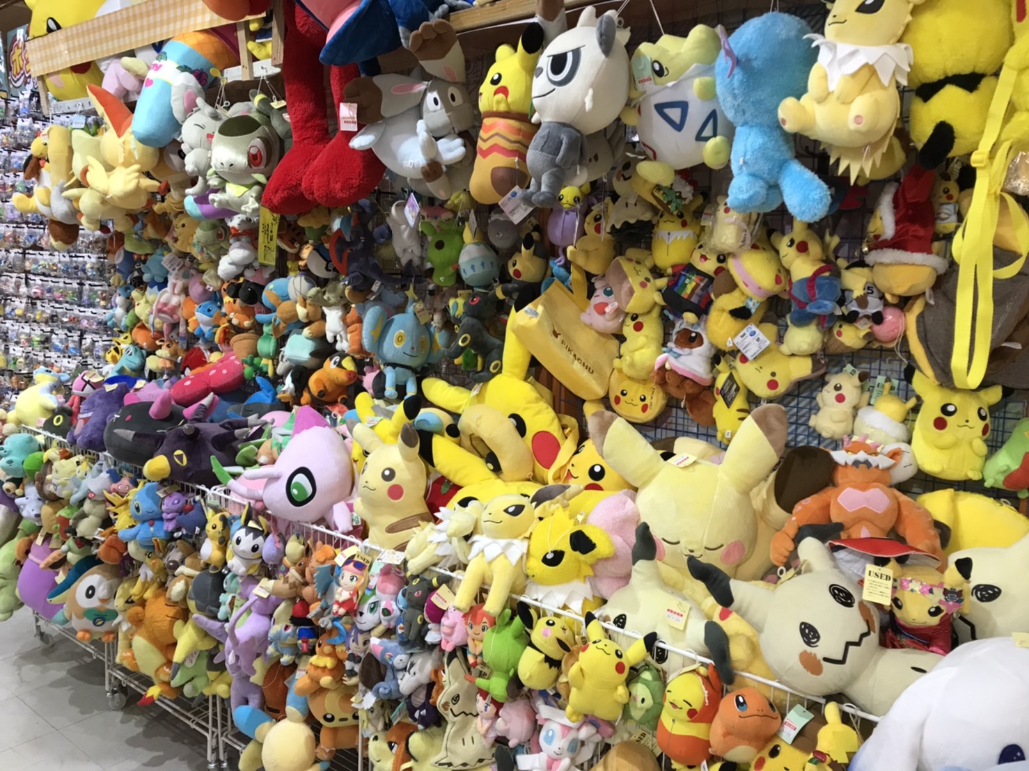 ☆ぬいぐるみ 入荷✨🧸【ポケモンぬいぐるみ 大量入荷☆】#おもちゃ