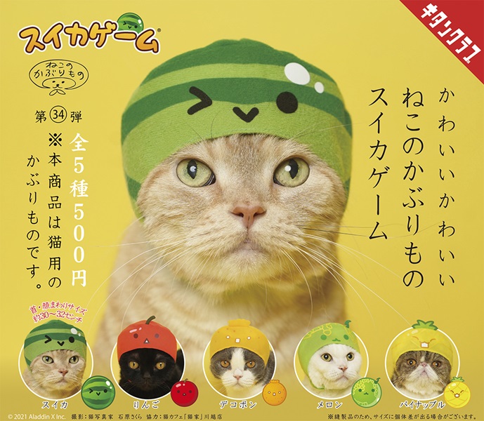 スイカ大サイズ！手作り額付き作品 title「プカプカ猫」 ラス1❗️300