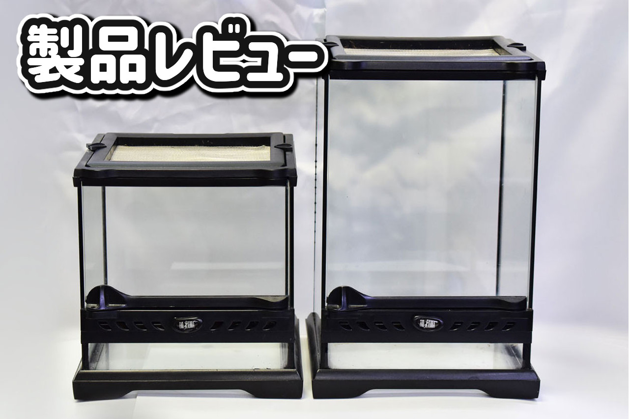 定番製品！「グラステラリウム ナノ キューブ」実使用レビュー