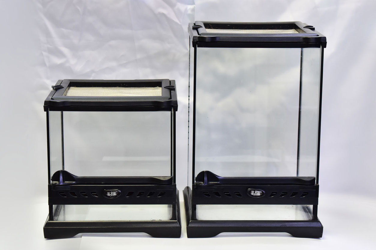 定番製品！「グラステラリウム ナノ キューブ」実使用レビュー